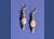 Drusy Gastropod Set Earrings