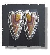 Wonderstone Earrings