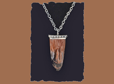 Petrified Wood Pendant Necklace